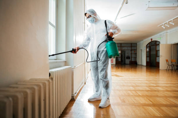 Best Pest Prevention Services  in Willows, CA